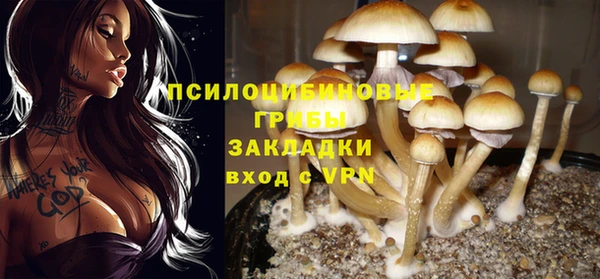 молекула духа Армянск